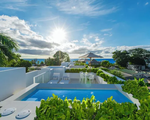 Palm Grove Villas & Hotel Hotels in Mount Standfast
