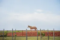 Peaceful Luxurious Ranch Family Reunion Отели в г. Поттаватоми