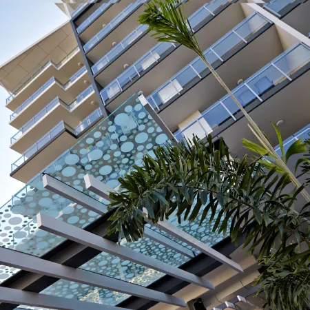 Verve on Cotton Tree
