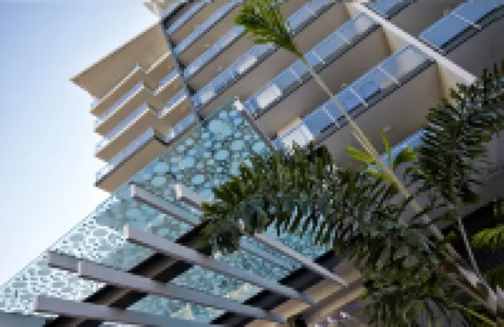 Verve on Cotton Tree