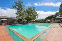Oasis Motel - Pools