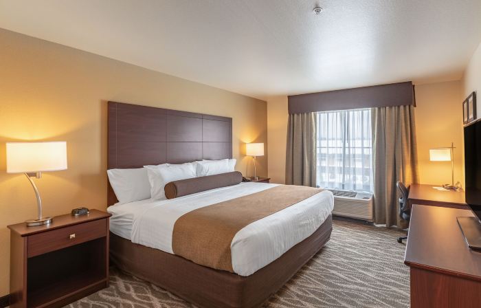 Cobblestone Hotel & Suites - Janesville