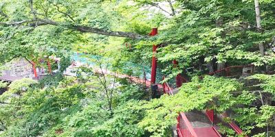 ホテル周辺 日光国立公園 川俣温泉 蔵の写真