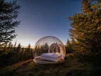 Buubble Hotel - Ölvisholt Hotel a Flóahreppur