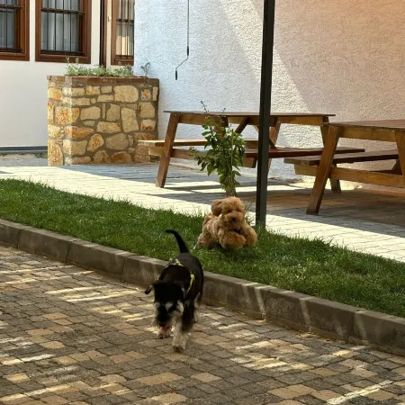 İrinikos Otel
