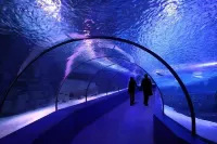 Yucemek Apart Hotels in Caglarca Koyu