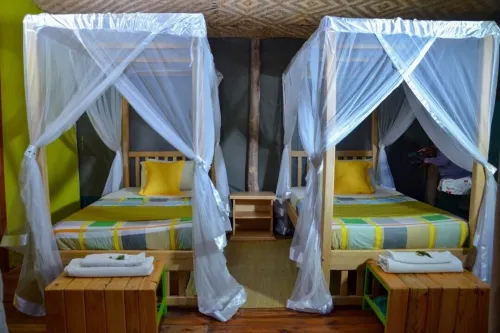 Gorilla Hills Eco Lodge - parking