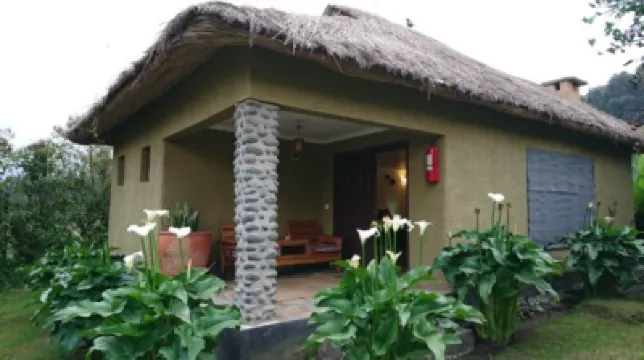 Davinci Gorilla Lodge Hotels near Bisoke Hike Volcanoes National Park