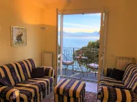 Alla Vecchia Camelia