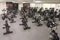 Hotel Royal Orchid - Gym