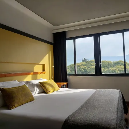 Hotel Raices Aconcagua
