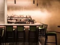 The Chicago Hotel Collection - Ambassador Gold Coast Hotels near Steppenwolf Theatre