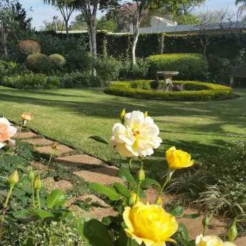Royal Ridge Guesthouse Hotels in der Nähe von Flughafen Waterkloof (FAWK) - WKF