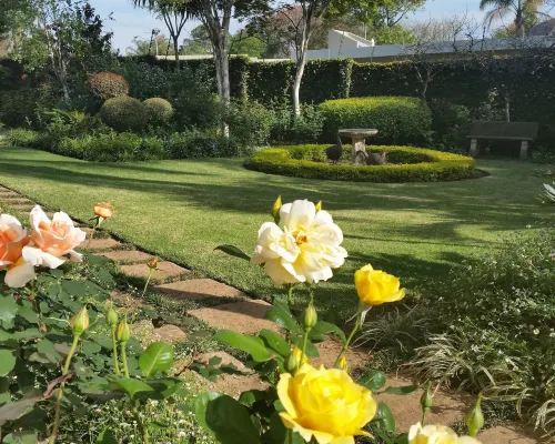 Royal Ridge Guesthouse Hotels near Erasmuskloof