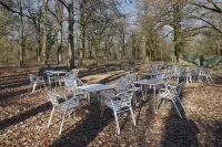 Aritzalko Hotels in Barranca