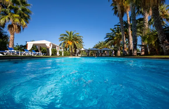 坦卡特德科多尼烏