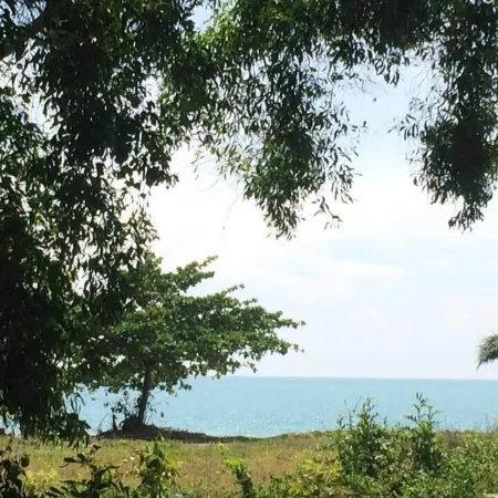 Bamboo Resort