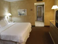 Ramada by Wyndham Viscount Suites Tucson East Hotels in Tucson