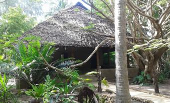 Dream of Africa Cottages Kanamai