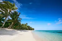 Motu Beachfront Art Villas - Beach