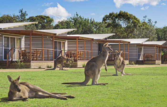 Discovery Parks - Pambula Beach