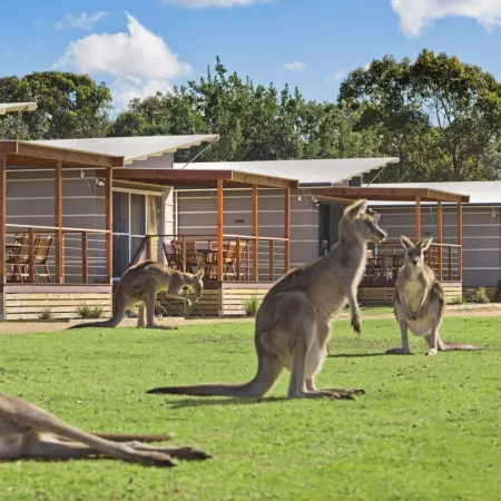 Discovery Parks - Pambula Beach
