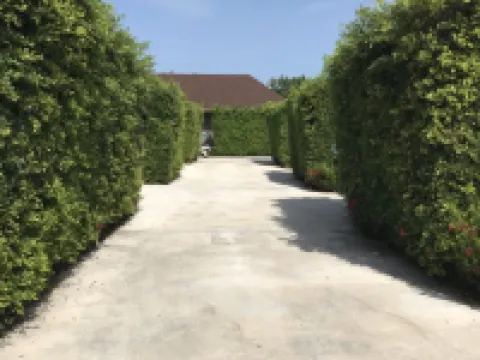 ดอนสัก วิลล์ โรงแรมในอำเภอ ดอนสัก