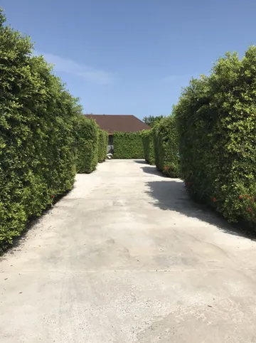 รูปภาพของดอนสัก วิลล์