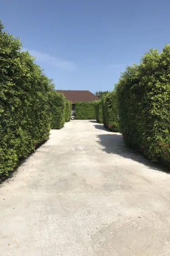 รูปภาพของดอนสัก วิลล์