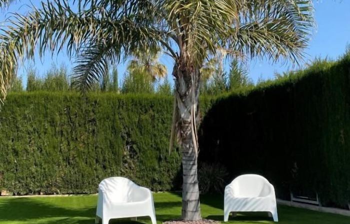Hotel Playa Canet