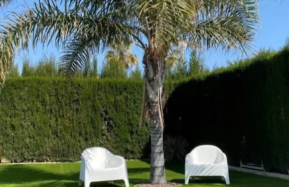 卡內特普拉亞酒店