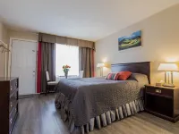 The White Horse Motel Hotels in Cornwall