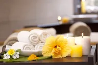 The Ibnii - Eco Luxury Resort - spa