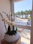 Le Churchill Hôtel & Spa - Ocean View