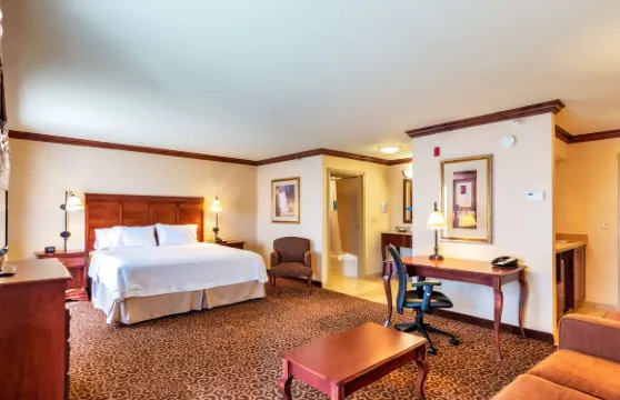 希爾頓歡朋酒店-羅林斯