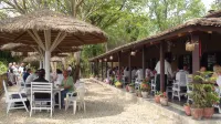 Safari Narayani Hotel- All Inclusive Hotels in Bharatpur