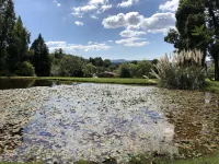 Zur Alten Mine Hotels in Graskop