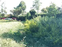 Mount Elgon Guest House Các khách sạn ở 