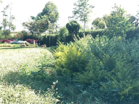 Mount Elgon Guest House Отели в г. Эндбесс