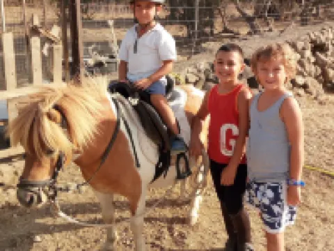 Ecoparco Neulè Hotels in Dorgali