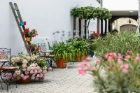 Pension Laubenhof Отели в г. Руст