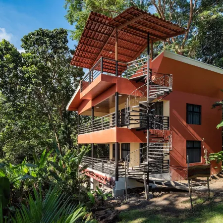 Jungle Lodge at Wild Sun Rescue Center