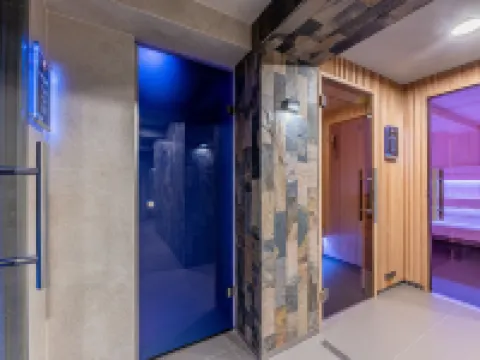 Wellness Penzión Vila Mery Hotels in Poprad