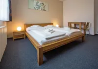 Hotel Lions Plzen Các khách sạn ở Plzen-City District