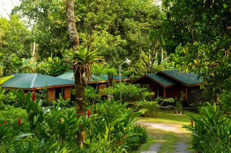 Eden Organic Farm & Bungalows