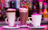 The Lounge Hotel & Bar - Baarit