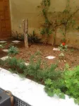 Riad Jasmins & Spa - Water Park