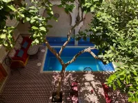 Riad Shajara - Kolam Renang Peribadi
