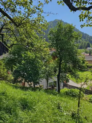 Charming Bella Hideout - Adults Only Hotels in Koroška Bela