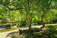 Camping les Cerisiers du Jaur